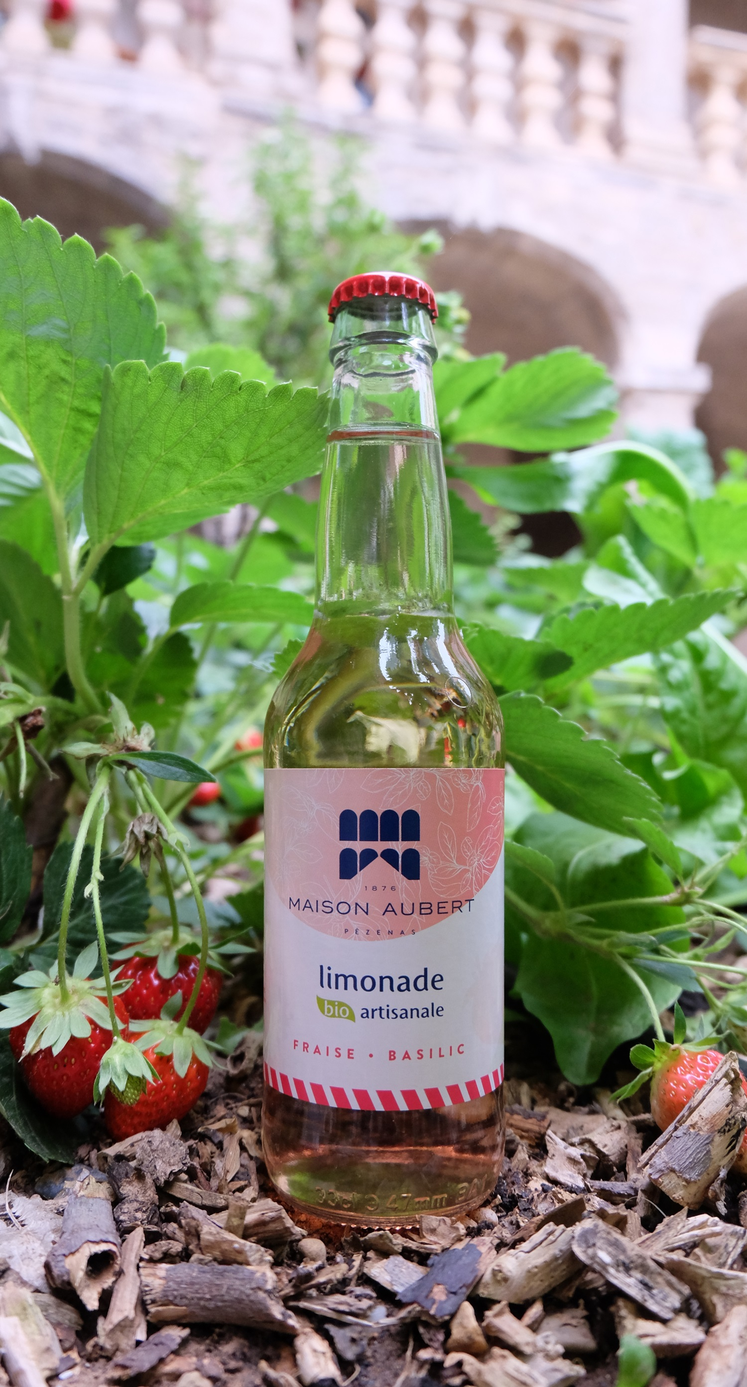 maison-aubert-limonades-fraise-basilic-limonade-33cl-bio image 2