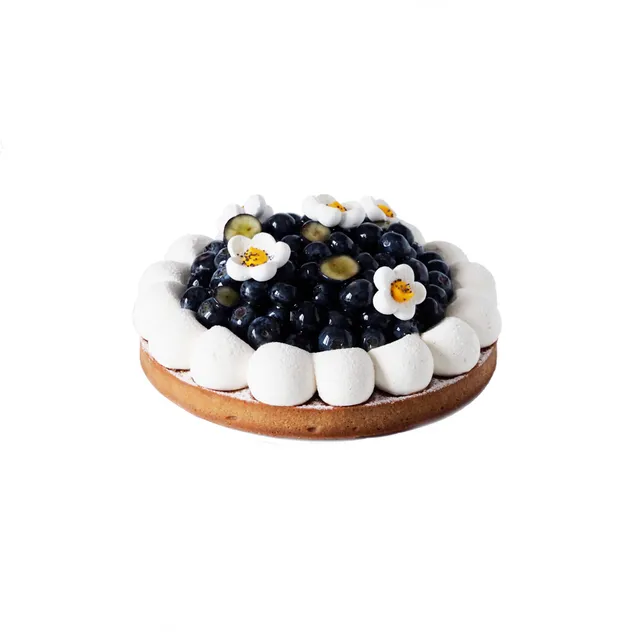 nicolas-bernard-tarte-aux-myrtilles-p-tisserie-fruits image 1